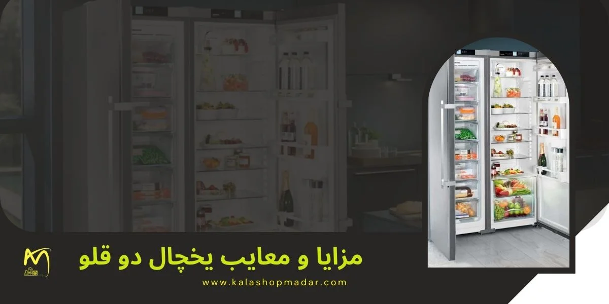 مزایا و معایب یخچال دوقلو