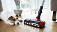 جارو شارژی ایستاده بوش مدل BCS711PET Rechargeable vacuum cleaner Unlimited 7 ProAnimal BCS711PET