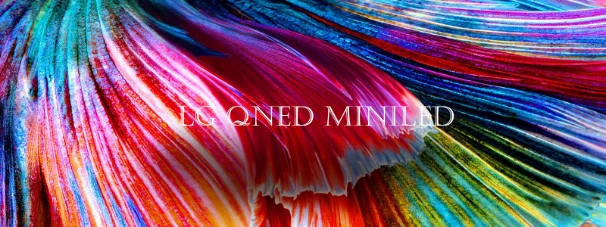 تلویزیون QNED ال جی