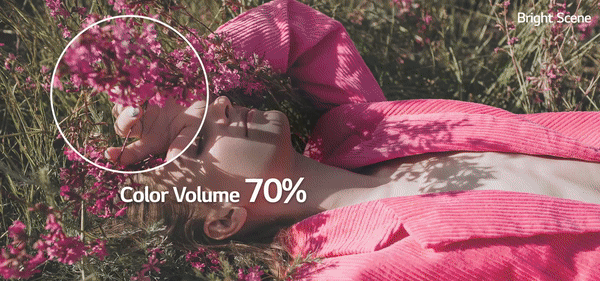  Colour Volume 100%